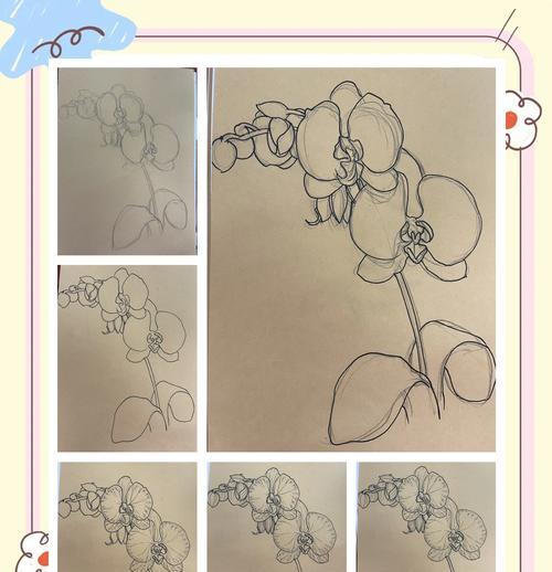 蝴蝶篮的花语代表什么？蝴蝶篮在送礼时的意义是什么？