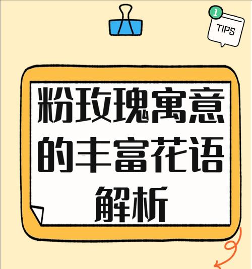 14朵玫瑰花的含义是什么？代表了什么情感？