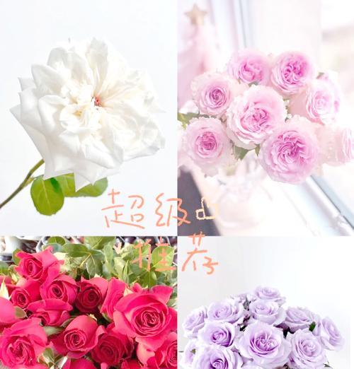 14朵玫瑰花的含义是什么？代表了什么情感？