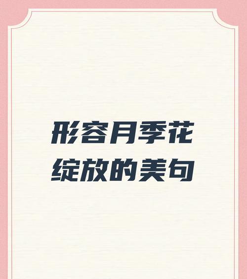 绝美的道具花语有何特别之处？它在送礼时代表什么？