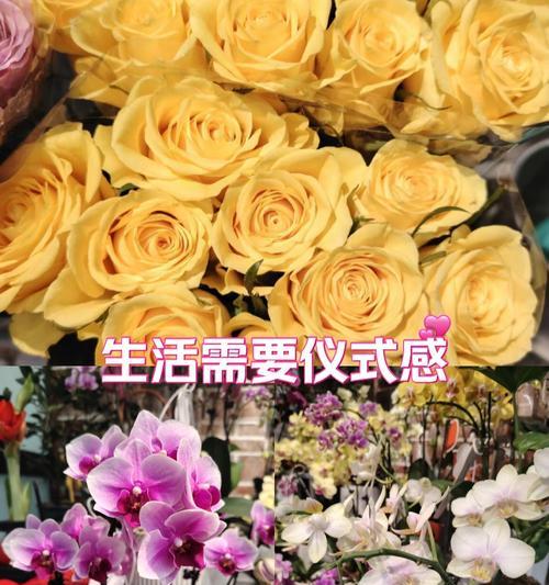 宝宝分享的花语有何寓意？