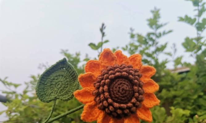 钩织向日葵的花语有哪些寓意？向日葵花语如何影响我们？