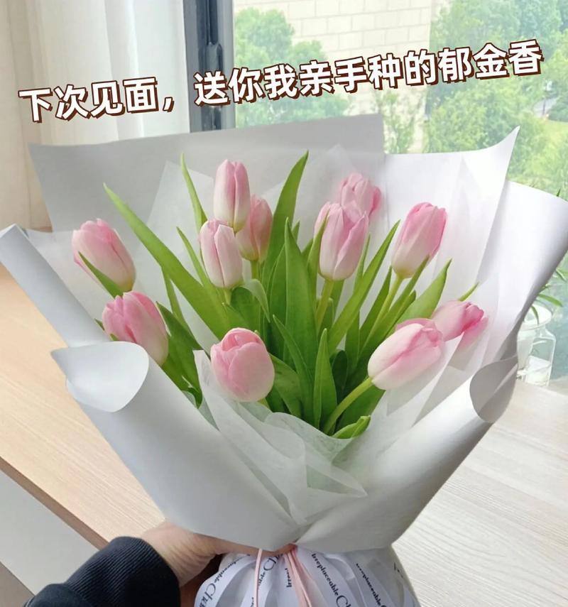 体贴男朋友的花语是什么？哪种花最能表达对男友的关怀？