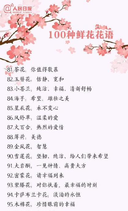 送给男士的花有哪些特别的花语？