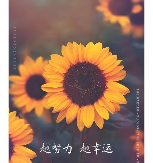 鲜花使者代表什么花语？花语的深层含义是什么？