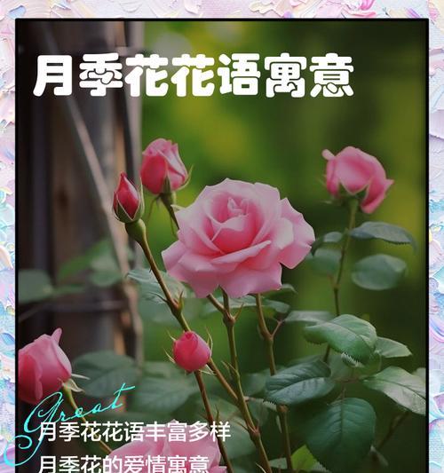 鲜花使者代表什么花语？花语的深层含义是什么？