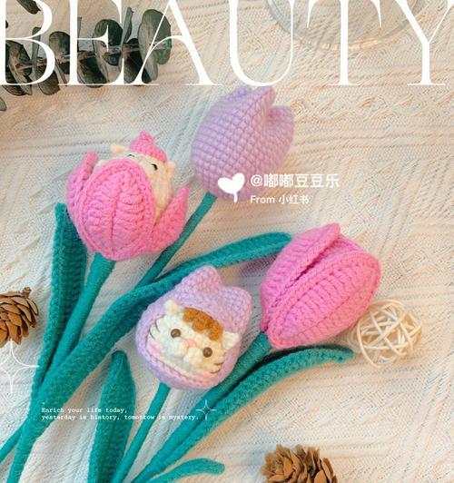 豆豆球花语有哪些独特之处？