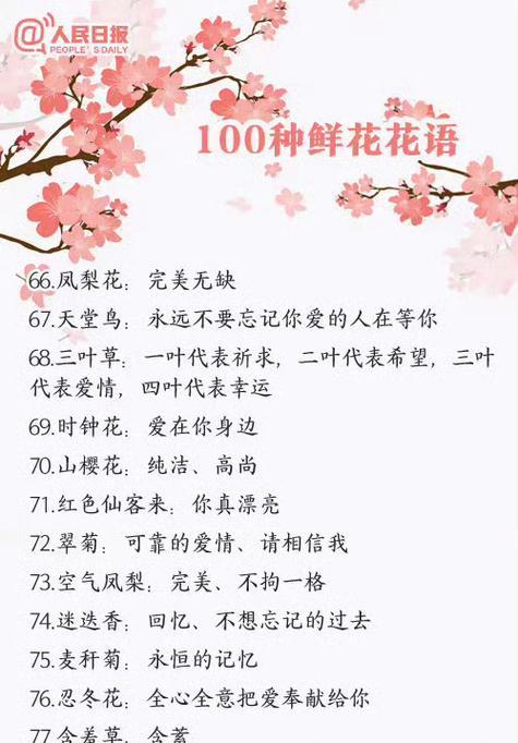 花语拯救的结局是什么？大结局中花语有何寓意？
