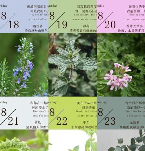 薄荷的花语与哪些诗词相关？它在文学中扮演了什么角色？