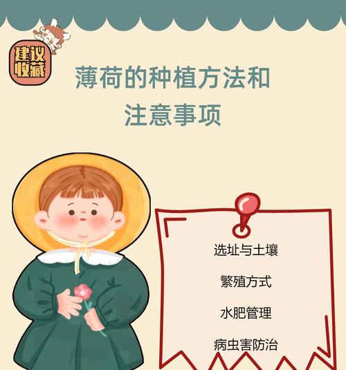 薄荷的花语与哪些诗词相关？它在文学中扮演了什么角色？