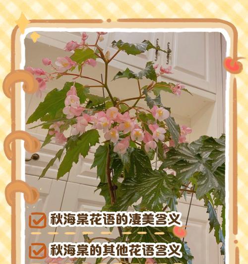 道具海棠花语及其寓意是什么？