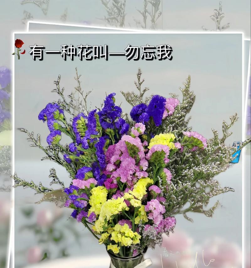 我的花语是什么？这种花语代表了什么特别的情感？