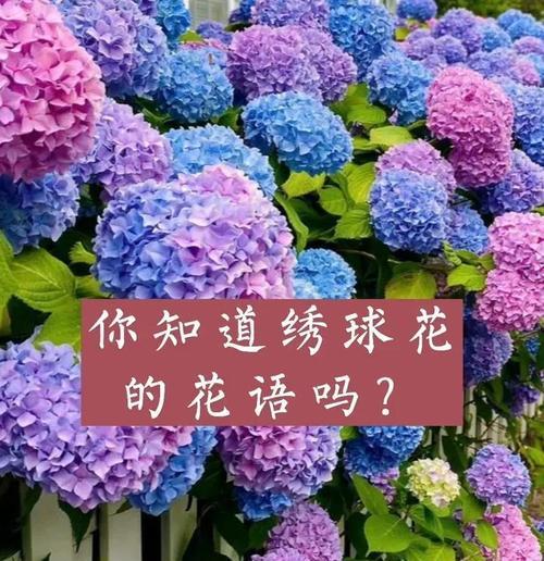 花开需等待的花语传达了怎样的信息？