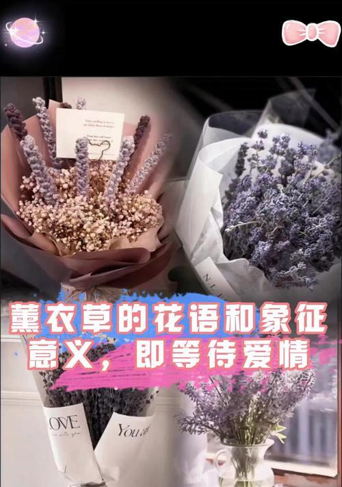 花开需等待的花语传达了怎样的信息？