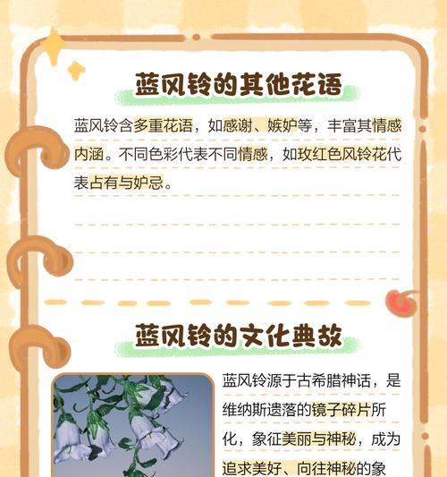 适合学生的花语有哪些？它们各自寓意着什么？