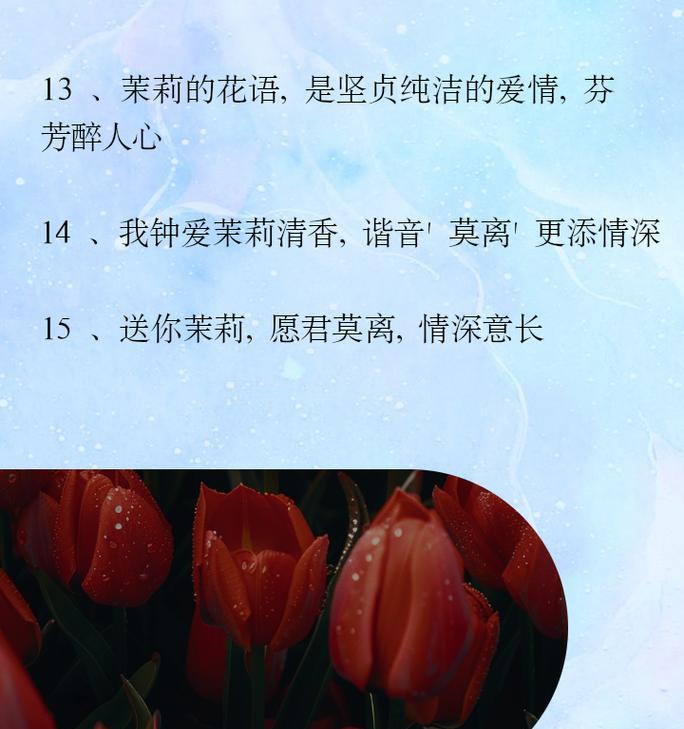搭配茉莉花的花语是什么？它有何寓意？