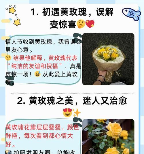 外国人如何理解黄玫瑰的花语？黄玫瑰在不同文化中的含义是什么？