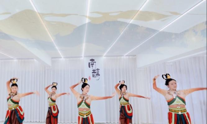 琵琶舞的花语有何象征意义？