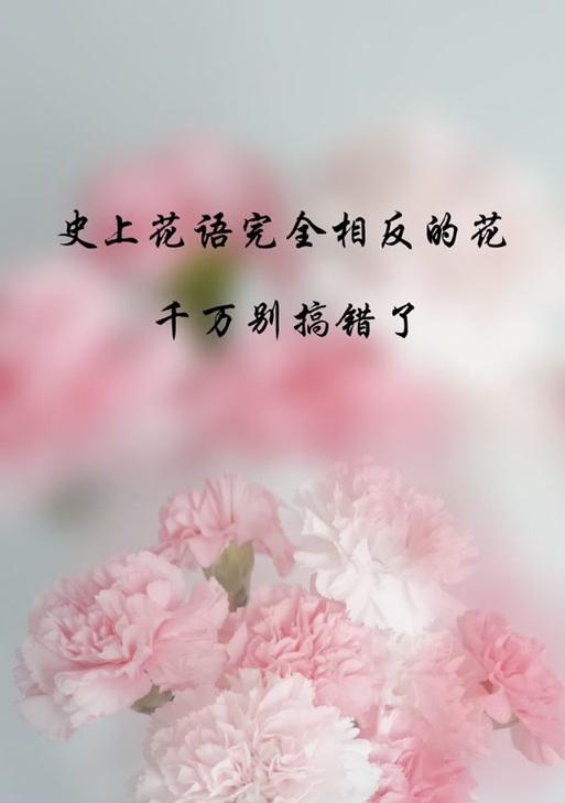 什么花语代表什么意思？如何理解花的语言？