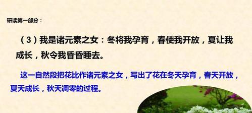 什么花语代表什么意思？如何理解花的语言？