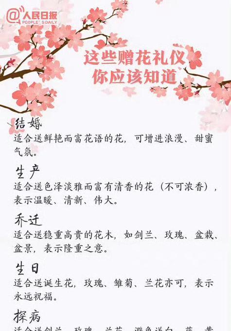 送花给老姨应该选择哪种花语？
