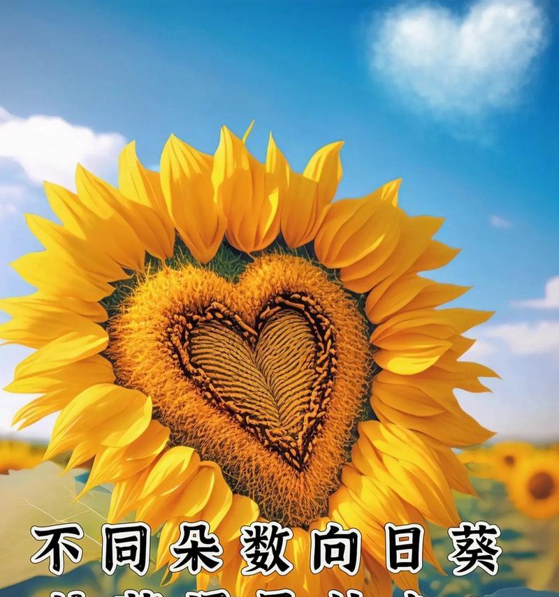 情人节让人无语的花语有哪些？它们代表了什么？