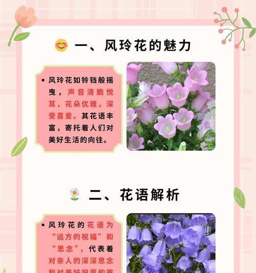 美好的祝愿通常用哪种花表达？它的花语是什么？