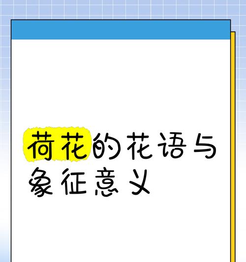 荷花的花语和寓意是什么？