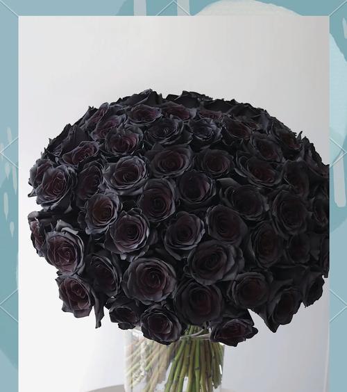 黑玫红配色的花语有何含义？它传递了哪些情感？