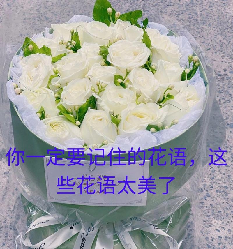 无言花语传达了哪些情感？