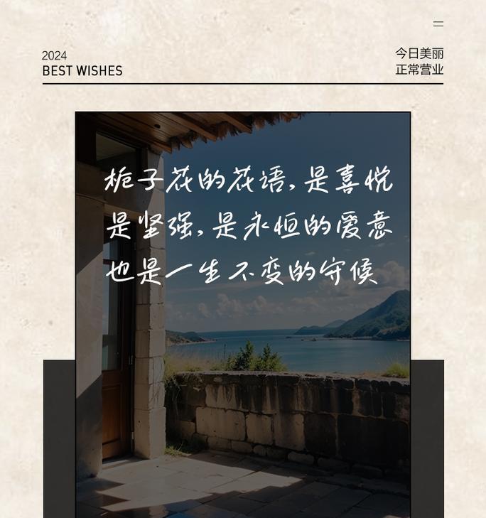 无言花语传达了哪些情感？