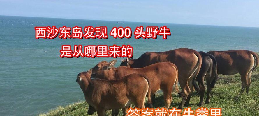 野牛的花语是什么？野牛花象征着什么？