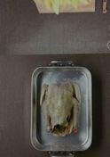 烤鸡花束的花语是什么意思？烤鸡花束代表了什么？