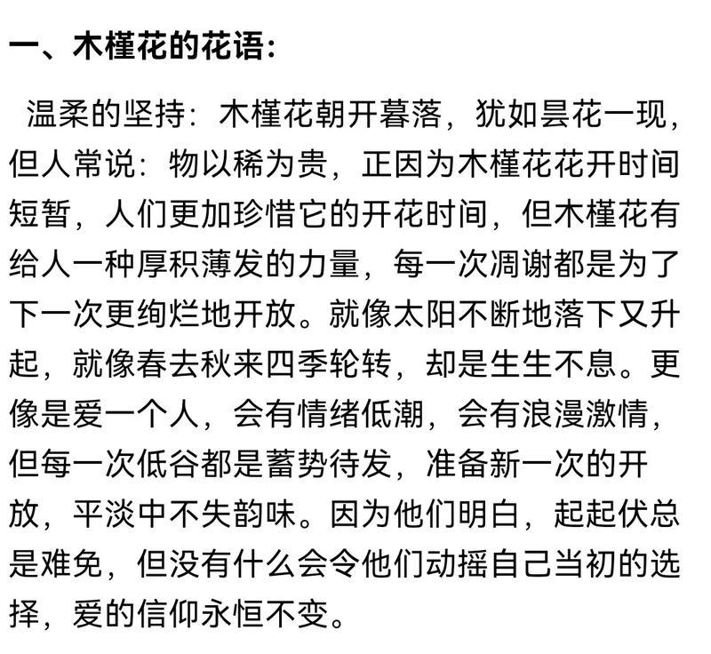 80后宝妈互动花语是什么？宝妈之间有哪些特别的花语？