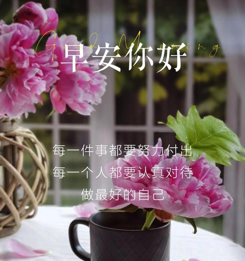 新型芍药的花语代表什么含义？