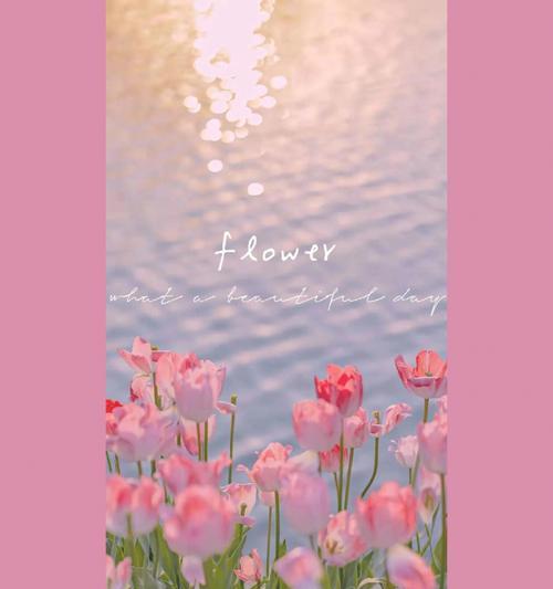 粉色莲雾花语代表什么？