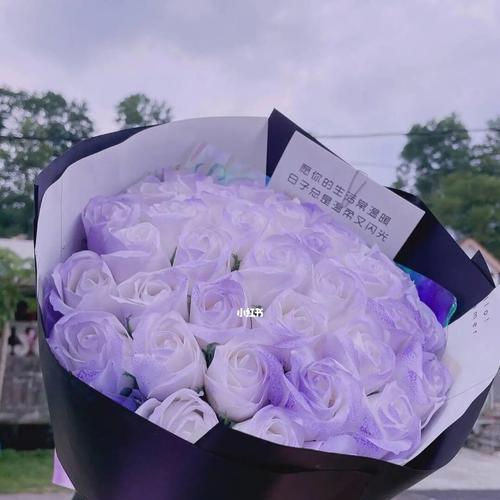 紫色白色玫瑰花什么寓意？双色玫瑰传递了怎样的信息？