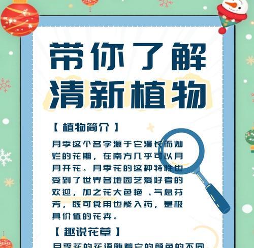 温柔藏于心的花语有何深意？如何用花语传递温柔？