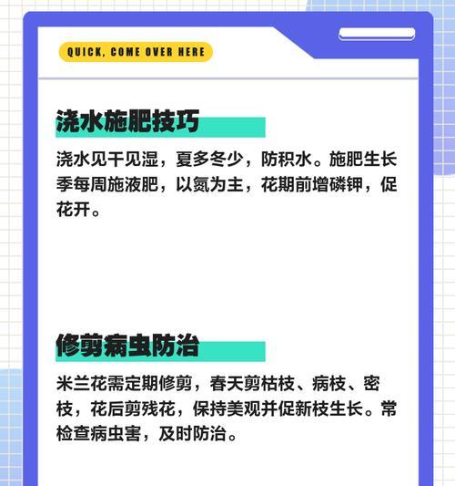米兰花养护指南：阳光、施肥和防冻的三大要点是什么？