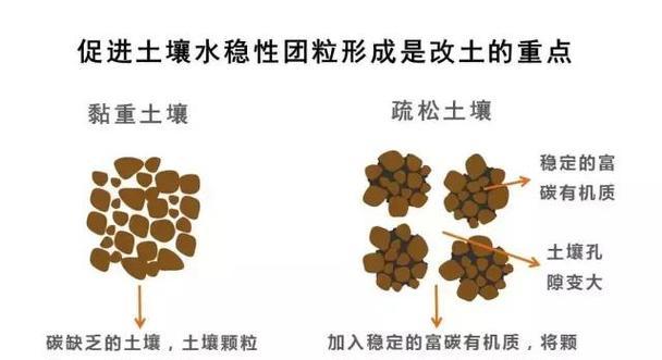满天星种植技巧：如何准备疏松透气的土壤？