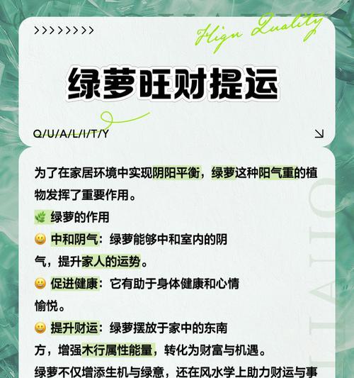 绿萝办公室盆栽的养护要点是什么？