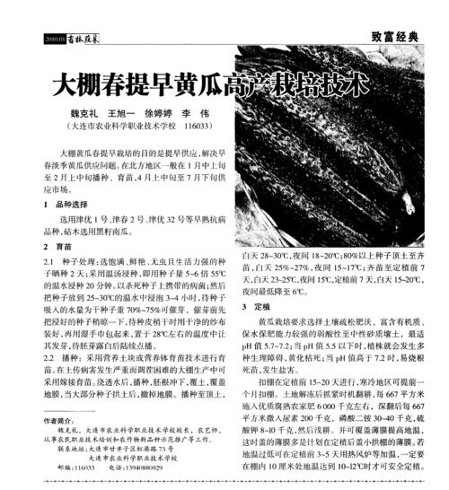 玉米如何实现高产？全面应用栽培技术的实施方法是什么？