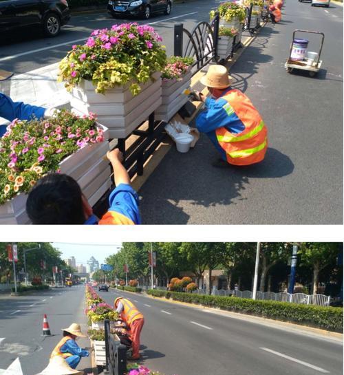 花卉行业如何挤进2200亿赛道？