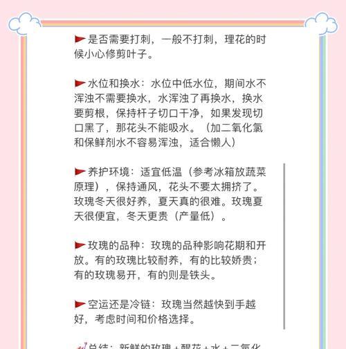 玫瑰如何养护才能长久绽放？