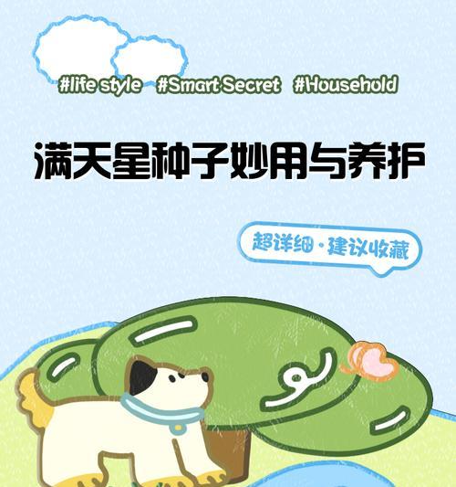 满天星种子发芽需要多久？