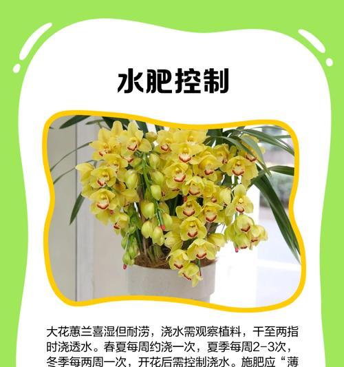 垂花惠兰的栽培管理技术有哪些？