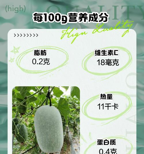 冬瓜种子如何快速催芽？