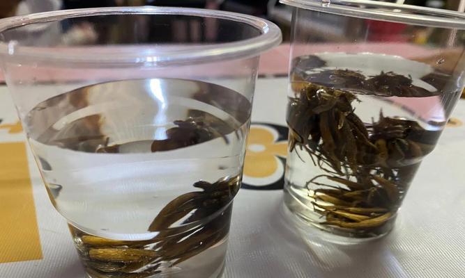 花毛茛第二年发芽的条件是什么？