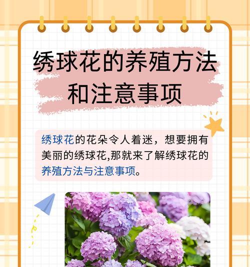 哪些绣球花品种最值得养殖？