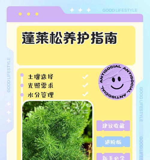 蓬莱松修剪有哪些技巧？